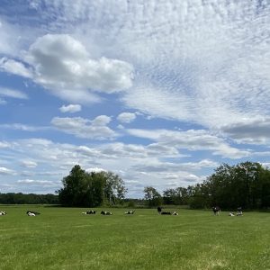 Fakansjewenning de Pastorij | Ruim landelijk vakantiehuis in Friesland